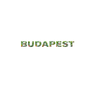 BUDAPEST felirat zöld fű és falevelek, egy két színes virággal  minta fehér pólón