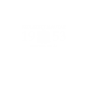 SZÜLETETT MAGYAR, ISTEN HAZA CSALÁD, SZÜLETETT 1953-BAN, MAGYAR CÍMER minta fekete pólón