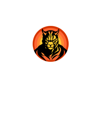 tigrisfej vadállat, tiger, tigris arc minta fekete pólón