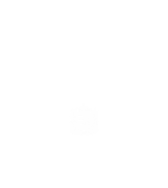hungarikum since 1992 best of the year, magyar címer minta fehér pólón