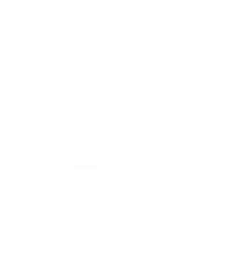 hungarikum since 1972 best of the year, magyar címer minta fehér pólón