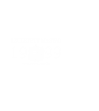 SZÜLETETT MAGYAR, ISTEN HAZA CSALÁD, SZÜLETETT 1999-BEN, MAGYAR CÍMER minta fekete pólón