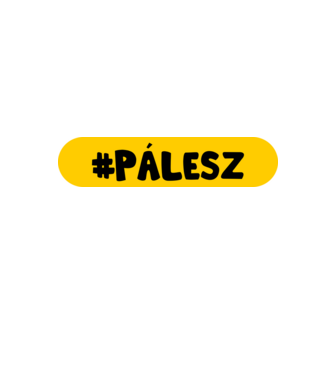 HASHTAG PÁLESZ minta fekete pólón