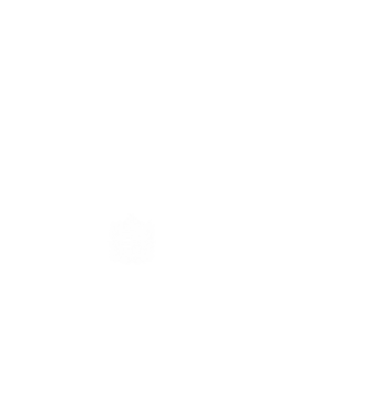 hungarikum since 1971 best of the year, magyar címer minta fehér pólón