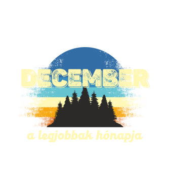 december a legobbak hónapja, decemberben születetteknek minta fehér pólón