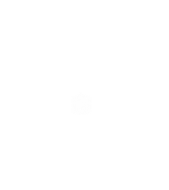 hungarikum since 1988 best of the year, magyar címer minta fekete pólón