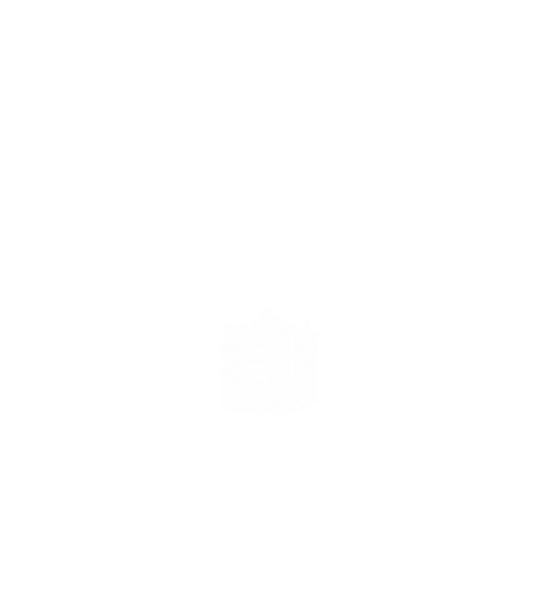hungarikum since 1987 best of the year, magyar címer minta fehér pólón