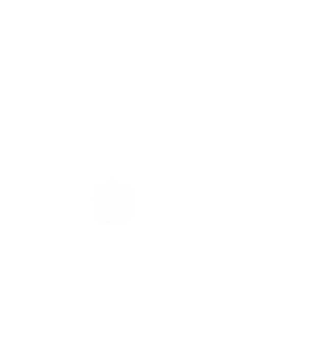 hungarikum since 1968 best of the year, magyar címer minta fekete pólón