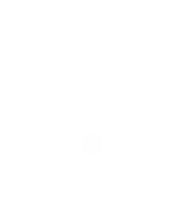 hungarikum since 1993 best of the year, magyar címer minta fehér pólón