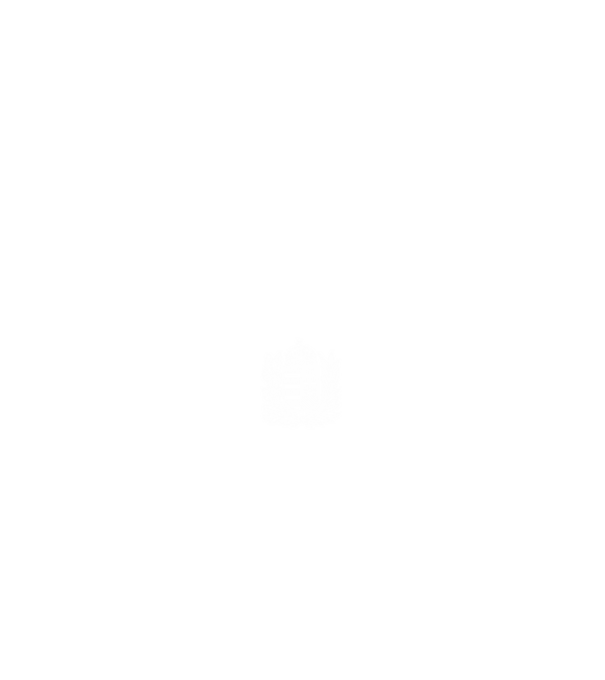 hungarikum since 1970 best of the year, magyar címer minta fehér pólón