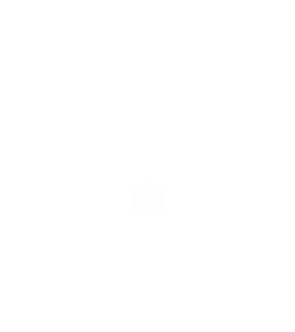 hungarikum since 1996 best of the year, magyar címer minta fekete pólón