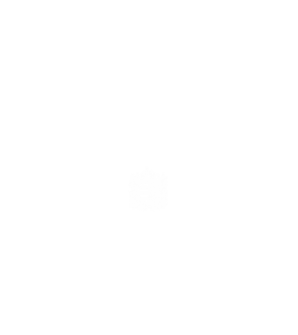 hungarikum since 1989 best of the year, magyar címer minta fehér pólón