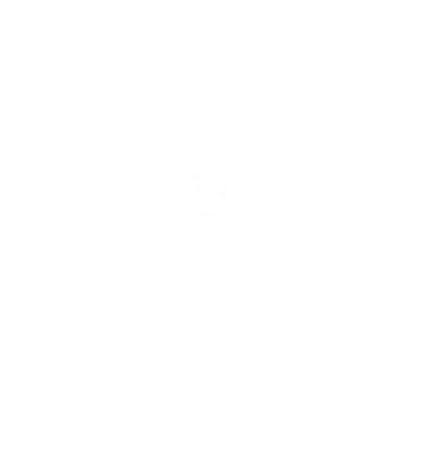 hungarikum since 1966 best of the year, magyar címer minta fekete pólón