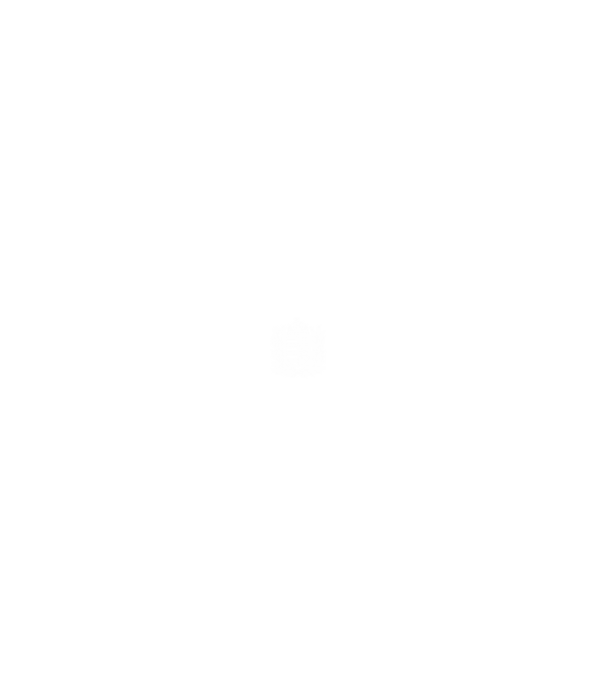 hungarikum since 1987 best of the year, magyar címer minta farmerkék pólón