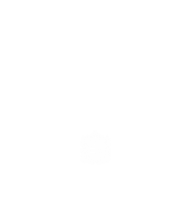hungarikum since 1974 best of the year, magyar címer minta fekete pólón