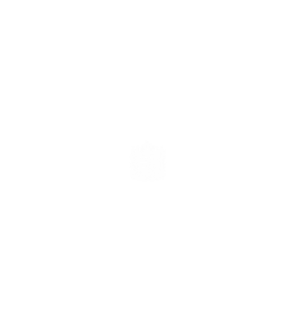 hungarikum since 1966 best of the year, magyar címer minta fekete pólón