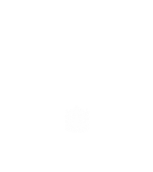 hungarikum since 1971 best of the year, magyar címer minta fekete pólón