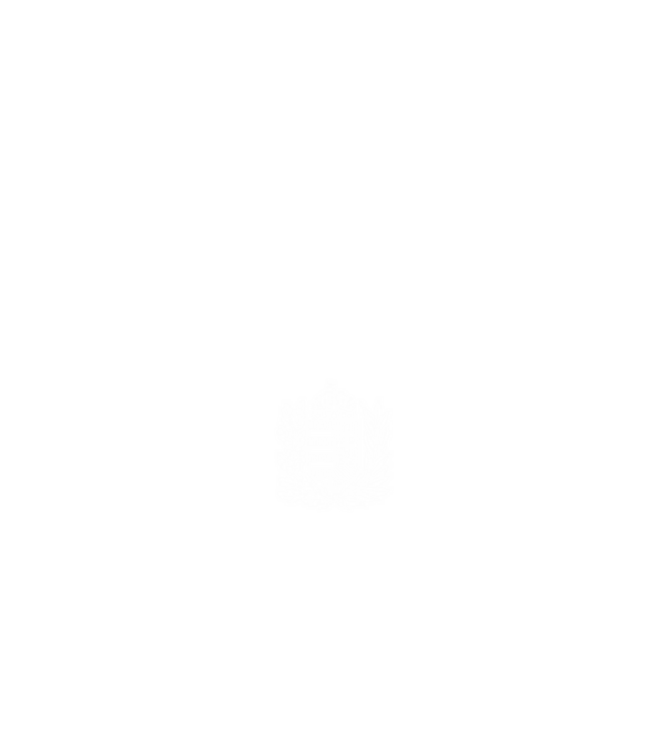 hungarikum since 1996 best of the year, magyar címer minta fehér pólón