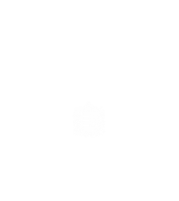 hungarikum since 1960 best of the year, magyar címer minta fehér pólón