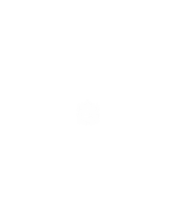 hungarikum since 1972 best of the year, magyar címer minta fehér pólón