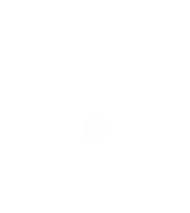 hungarikum since 1960 best of the year, magyar címer minta fekete pólón