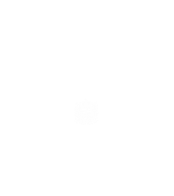 hungarikum since 1967 best of the year, magyar címer minta fehér pólón