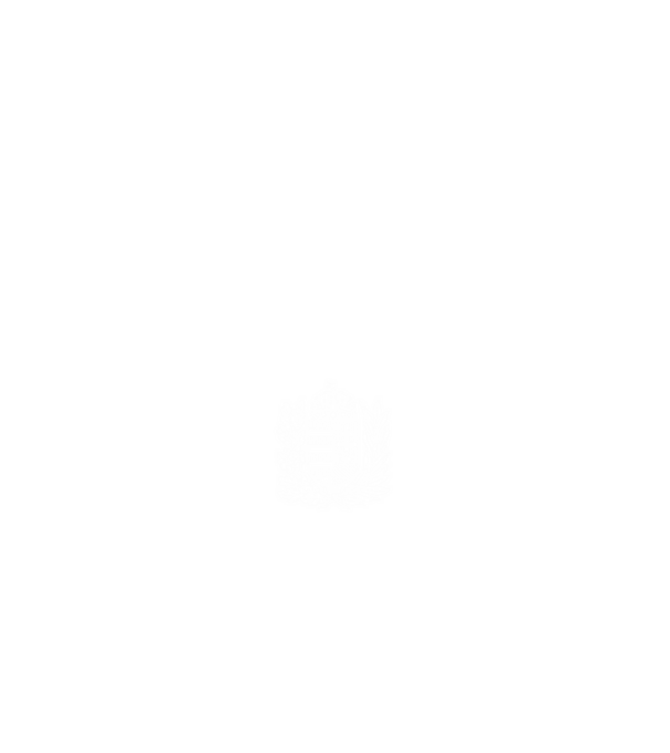 hungarikum since 1974 best of the year, magyar címer minta fehér pólón