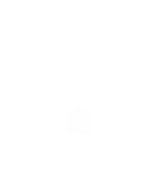 hungarikum since 1999 best of the year minta fekete pólón