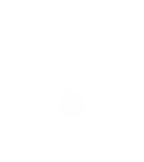 hungarikum since 1990 best of the year, magyar címer minta fehér pólón