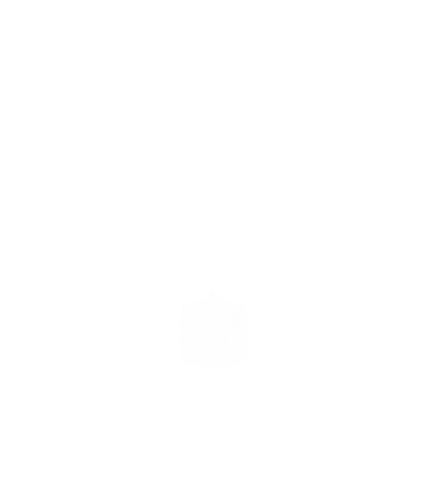 hungarikum since 1991 best of the year, magyar címer minta fekete pólón
