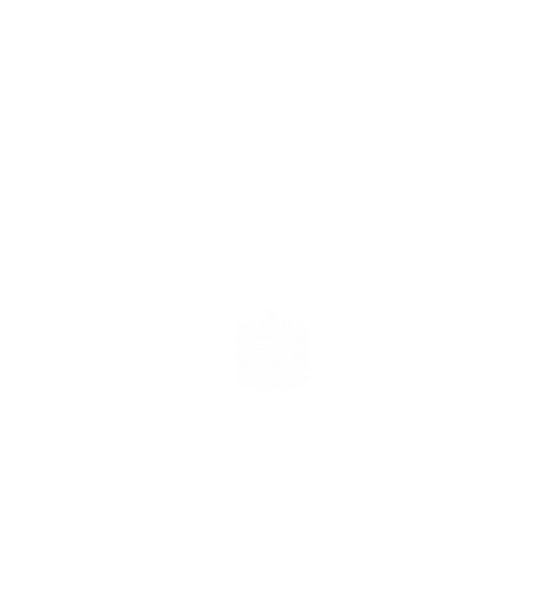 hungarikum since 1987 best of the year, magyar címer minta fehér pólón