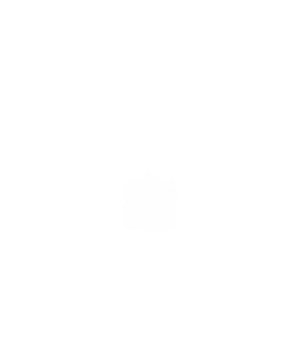 hungarikum since 1992 best of the year, magyar címer minta fehér pólón