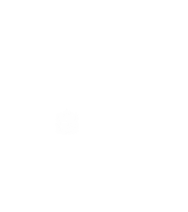 hungarikum since 1972 best of the year, magyar címer minta fehér pólón