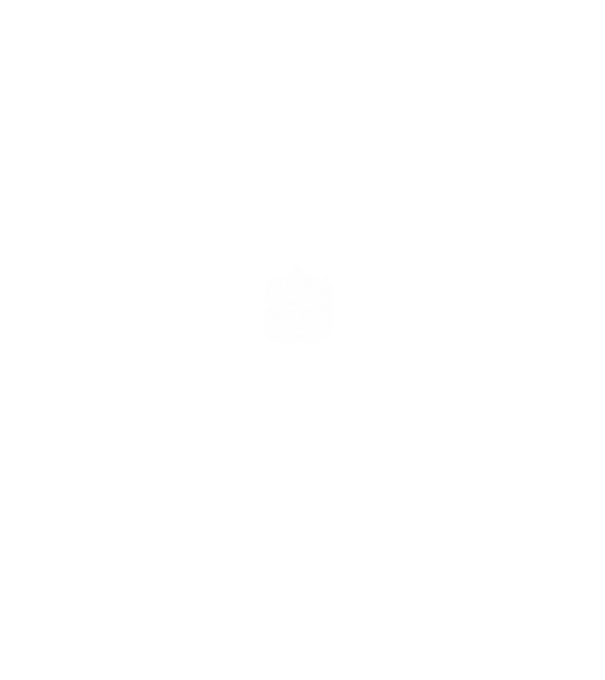 hungarikum since 1966 best of the year, magyar címer minta fekete pólón