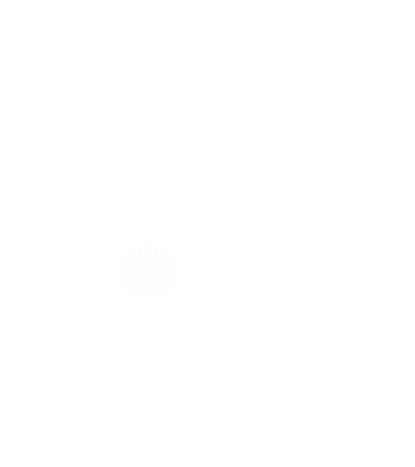hungarikum since 1962 best of the year, magyar címer minta fehér pólón