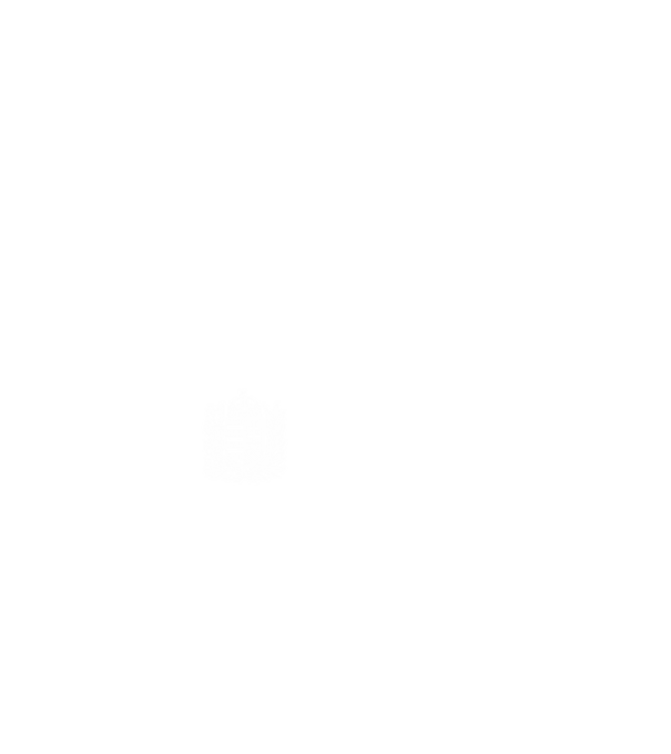 hungarikum since 1996 best of the year, magyar címer minta fekete pólón