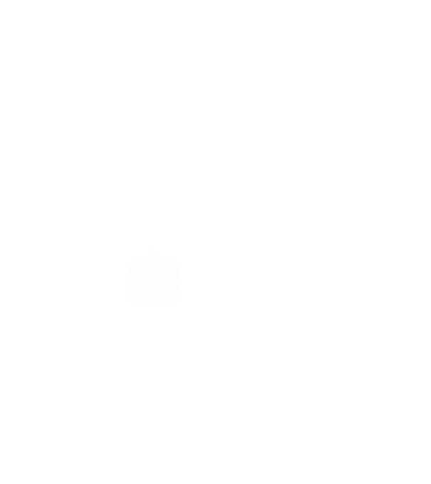 hungarikum since 1981 best of the year, magyar címer minta fehér pólón