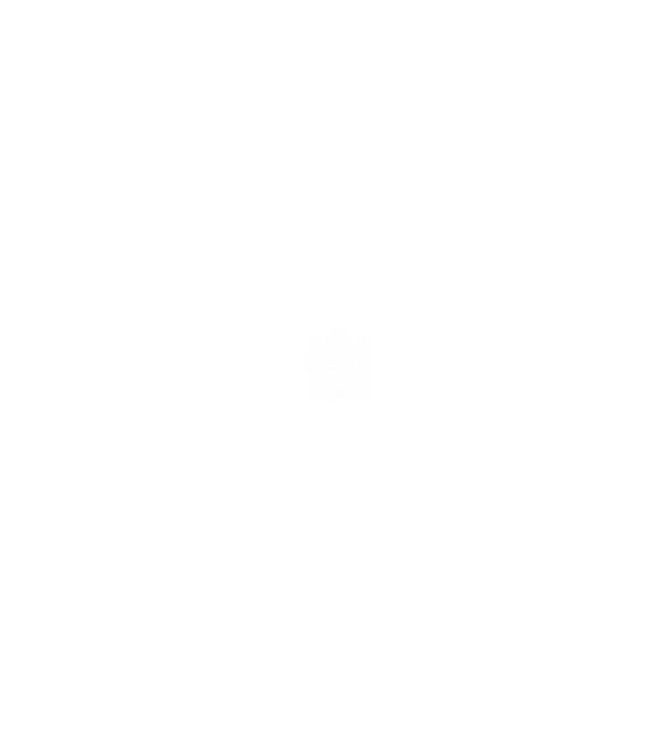 hungarikum since 1989 best of the year, magyar címer minta farmerkék pólón