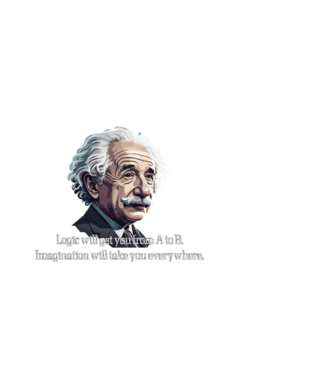 EINSTEIN minta fekete pólón