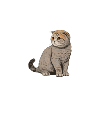 cat-7753428 minta fekete pólón