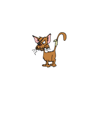 cat minta fekete pólón