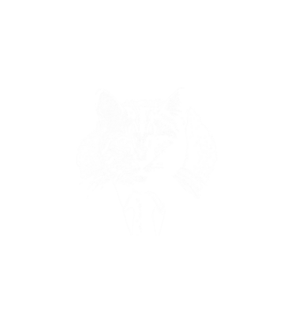cat minta fekete pólón