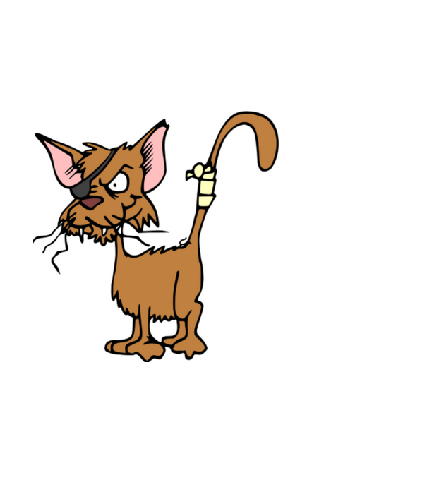 cat minta fekete pólón