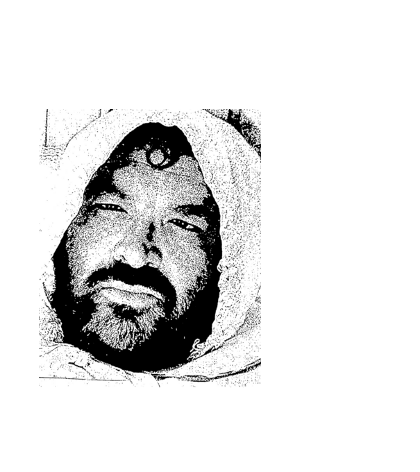 Bud spencer minta fehér pólón