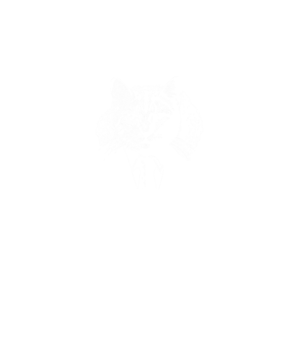 cat minta fekete pólón