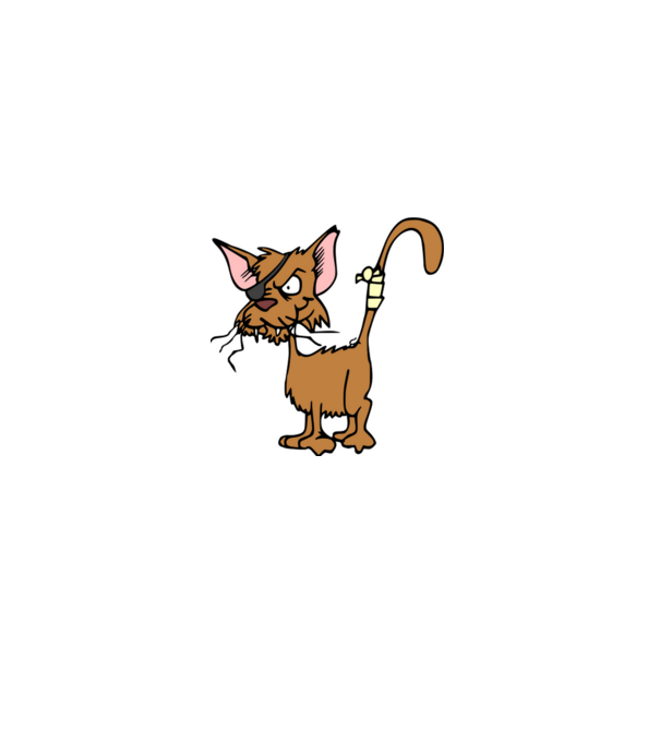 cat minta fekete pólón