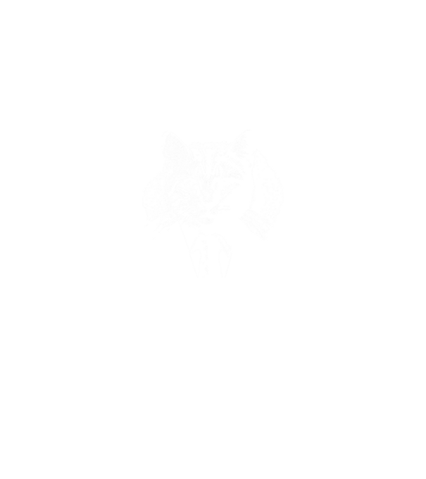 cat minta királykék pólón