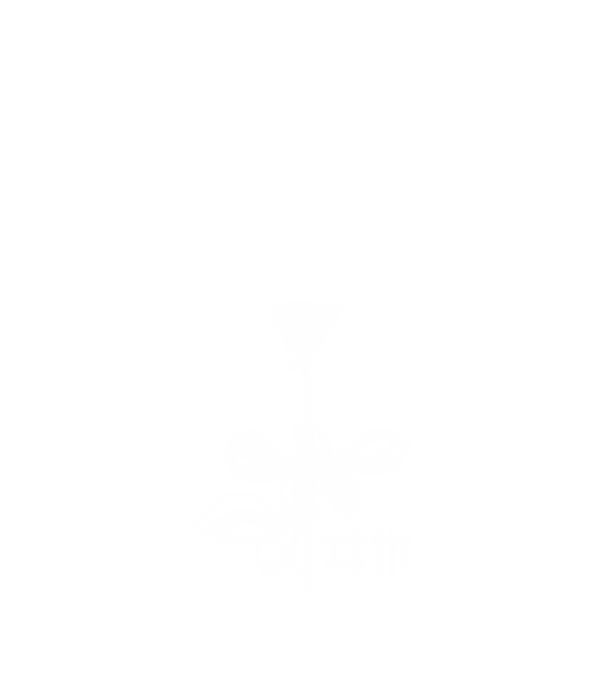 Depeche Mode_feher minta fekete pólón