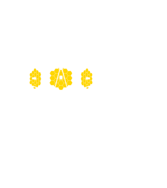 James Webb sárga-fehér minta fekete pólón