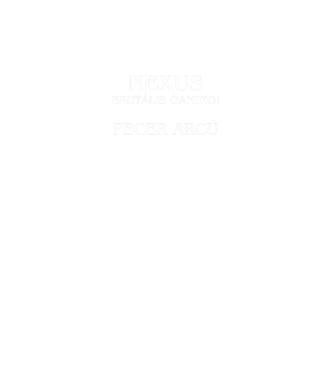 Nexus Gaming pecer arcú minta fekete pólón